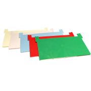 Piste d'atterrissage en plastique pour plancher Dadant 10