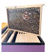 Ruche éducative avec 12 cadres pédagogiques