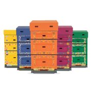  Ruche Dadant 10 Colorée en polystyrène Lyson à décor