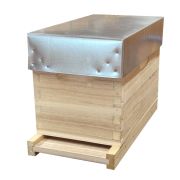 Ruchette Dadant 6 en Paulownia GREENBEE extralight, Modèle Basis 15F4