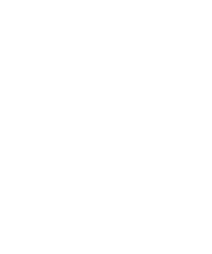 DADANT 8 1