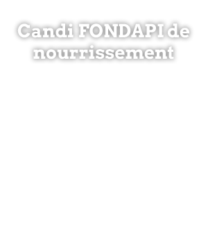 Fondapi