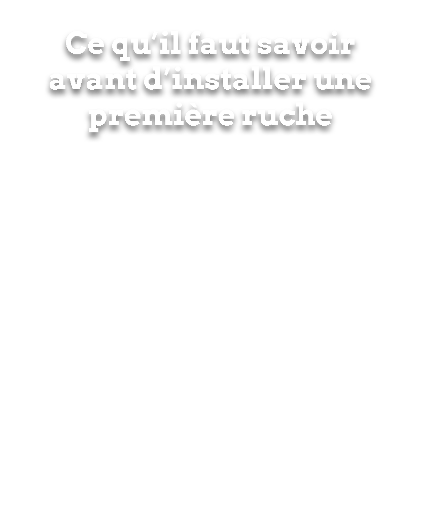 guide débutant