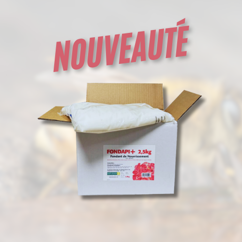 fondapi+