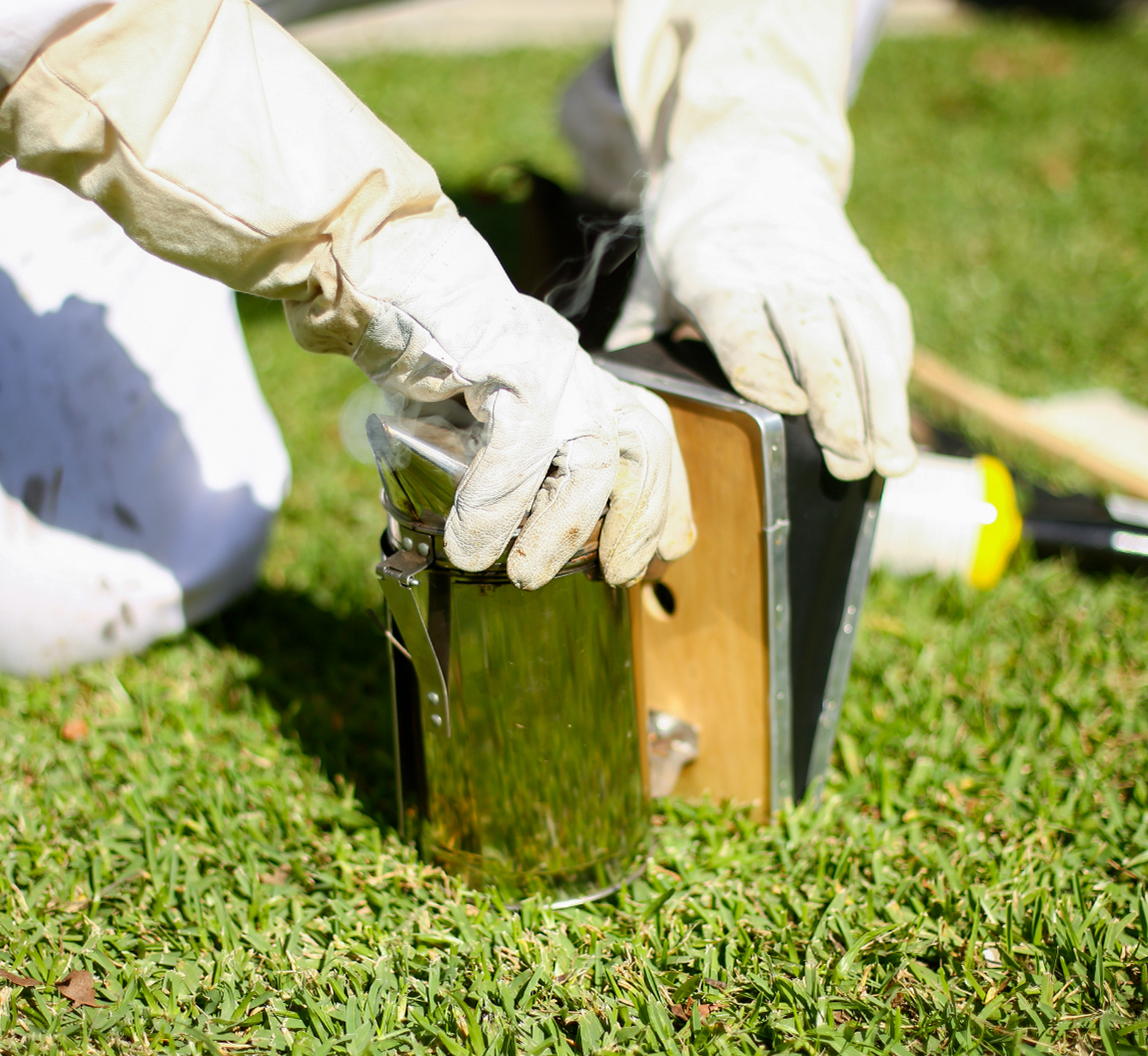 Le vêtement d'Apiculture