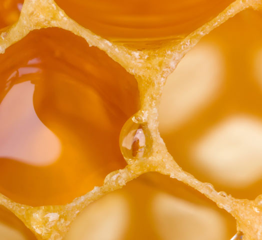 qualité du miel