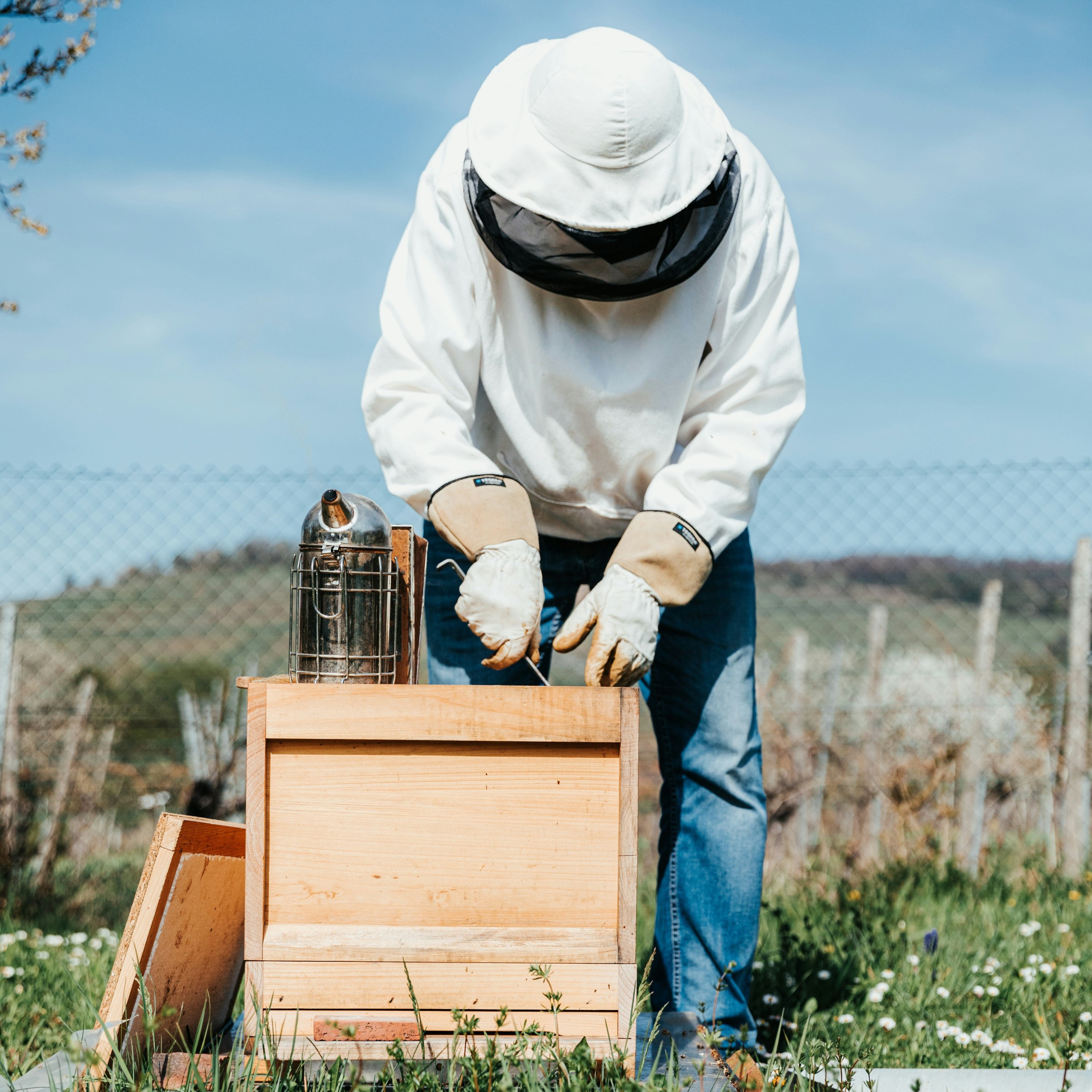 Choisir son vêtement d'apiculture