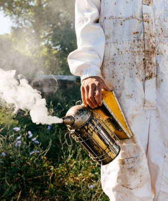 Les alternatives à l'enfumoir en apiculture