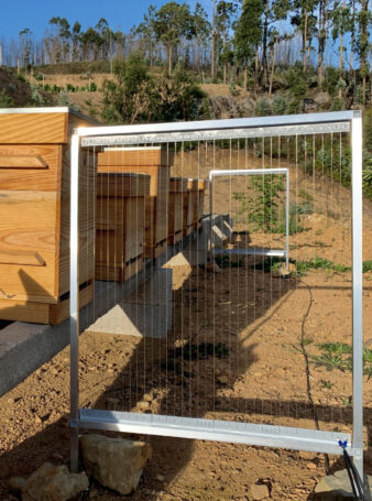 La harpe à frelons : une solution écologique contre le frelon asiatique