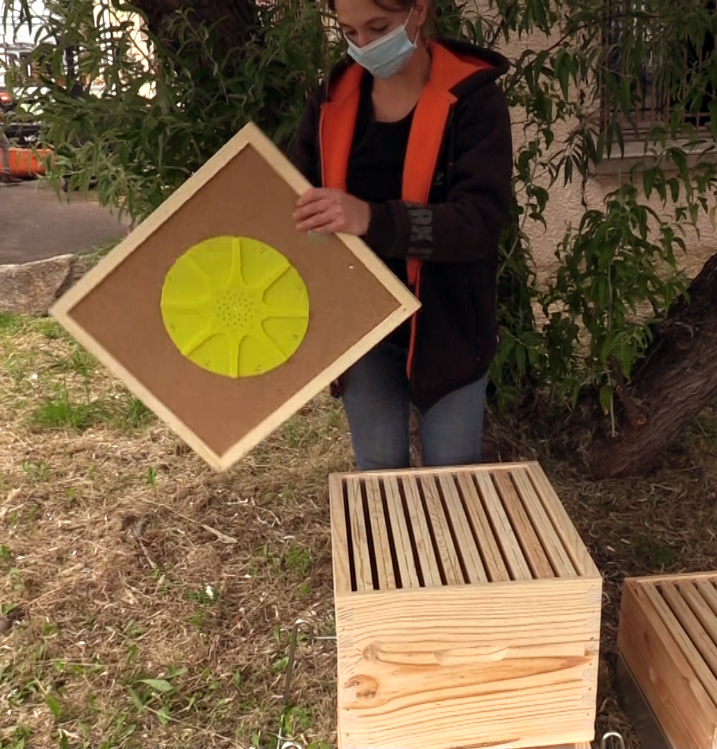Blog :: Comment choisir, poser et entretenir une hausse de ruche