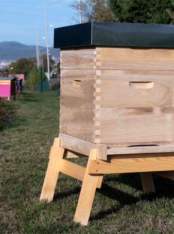 Ruche Naturapi en Paulownia