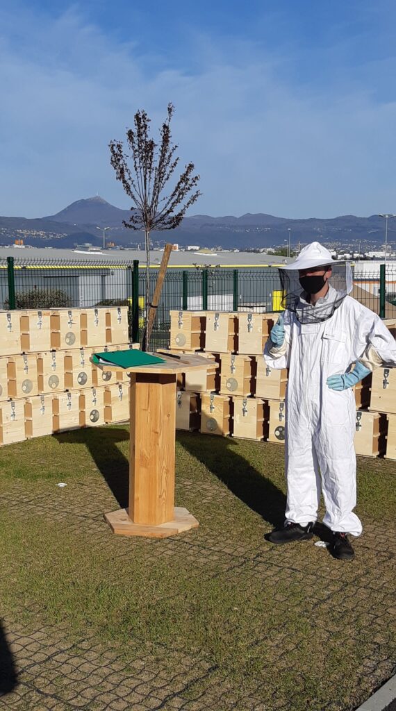 Vente d'essaims chez Naturapi Clermont