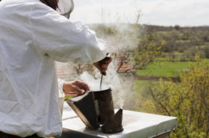 enfumoir à abeilles