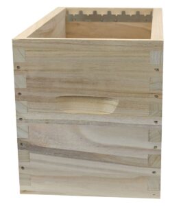 Ruchette en bois de Paulownia 