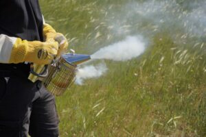 Enfumoir sans feu ANEL