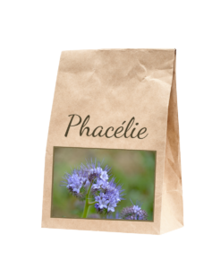 graines de phacélie